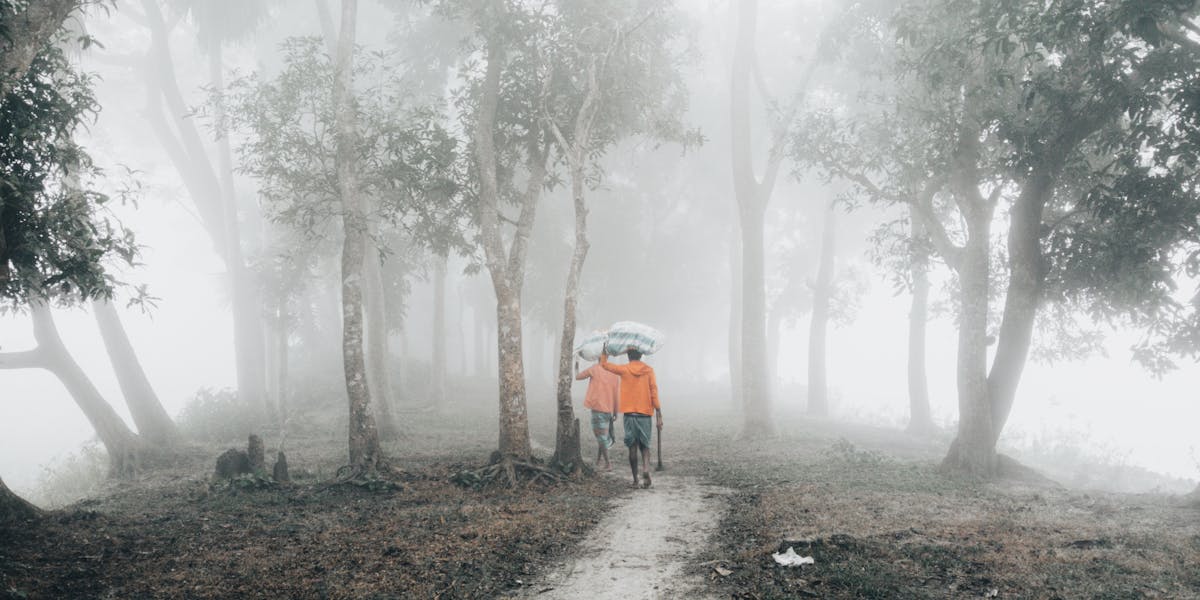 mosquiteiro clima úmido