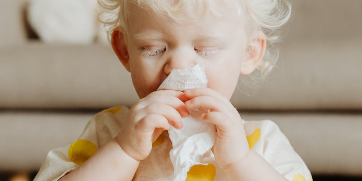 mosquiteiro para bebê alérgico