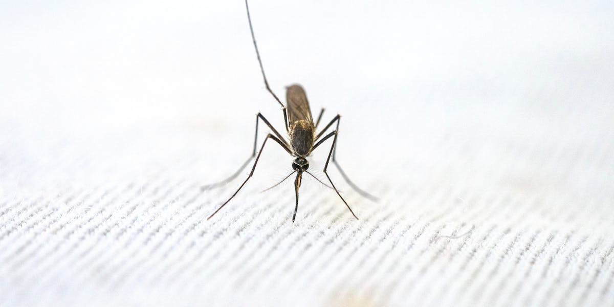 instalar mosquiteiro retrátil